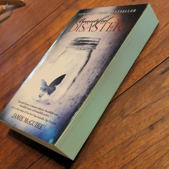 Beautiful Disaster Book - Picture 7 of 8